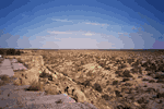 Aral-Kum Aral Sea Bed