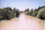 Namangan Kanal