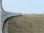 Railway Train Tashkent-Sarativ in the step
