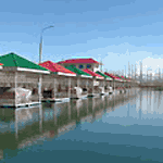 Tashkent Restaurant Khonbalyk Fish Cuisine